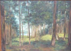 Oil on canvas woodland scene with lake visible through the trees,