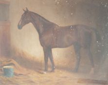 T E Mason 19thC / early 20thC oil on canvas of a horse 'The Sinner', signed lower right,