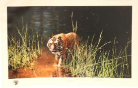 David Shepherd OBE signed limited edition print 1093/2000 'Jungle Gentleman',