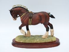 Border Fine Arts limited edition 659/950 of Shire/heavy horse modelled by Anne Wall,