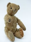 Steiff Teddy bear with blonde mohair, pointed snout, cocked feet, hump back and straw filling,