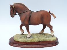 Border Fine Arts limited edition 775/950 of a Suffolk Punch modelled by Anne Wall,