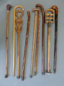 A group of walking sticks including some with animal head handles