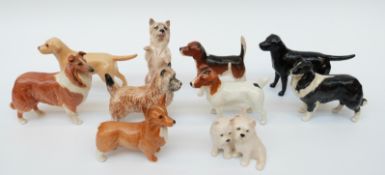 Ten small Beswick dogs to include Jack Russell, Collie, Retriever, Beagle, Hound,