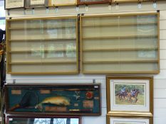 A pair of wooden train or model display cabinets with sliding glass doors and removable shelves,