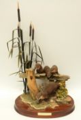 Border Fine Arts limited edition 46/350 tableau of an otter with cubs among bullrushes 'Taking the