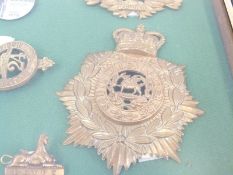 A framed collection of badges and helmet plates to the 24th Regiment of Foot,
