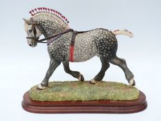 Border Fine Arts limited edition 800/950 'Percheron Supreme Champion Dapple' modelled by Anne Wall.