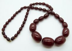A cherry amber necklace of 51 graduated ovoid beads, the largest 28 x 22mm,