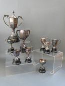 Nine various plated trophy cups,