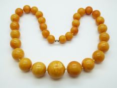 A Baltic amber necklace of 31 graduated spherical beads of egg yolk colour,