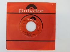 Have You Forgotten Who You Are - Glass Menagerie (No centre).