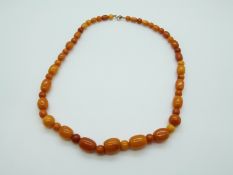 An amber necklace of 51 graduated barrel shaped and spherical beads of egg yolk and butterscotch