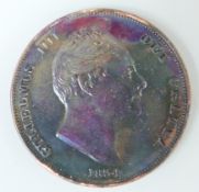 William IV penny 1834 toned copper bare head, Britannia reverse, plain edge EF+ near UNC,