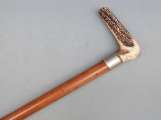 A deer horn handled walking stick