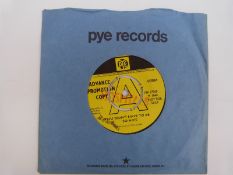 The Glass Menagerie - Lets All Run To The Sun demo (7N1756S),