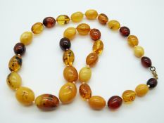 An amber necklace of 33 graduated ovoid beads of varying colours, the largest 23.3 x 15.
