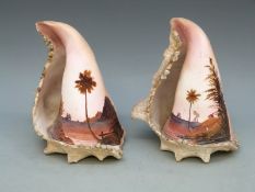 A pair of Victorian hand-painted conch shells,