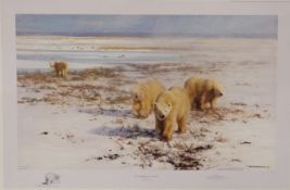 David Shepherd signed limited edition print 67 / 1500 Lone Wanderers of the Artic in original