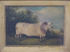 Oil on board 'Somerby's Prize Bullock All Norfolk First Prize, Heathcote Farm, Baconsthorpe,
