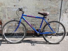 Etna Professional blue mountain bike