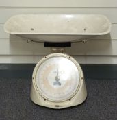 Salter Thermoscale 22lb scales