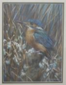 Joel Kirk pastel study of a kingfisher,