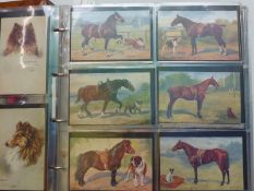 A album of postcards, mainly complete sets including hunting, flowers, dogs (Maud West Watson,