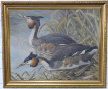 Basil Ede oil on canvas pair of great crested grebes, signed and dated 92 lower left,