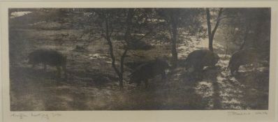 Barbara Webb Limited edition (12/30) etching of truffle hunting,