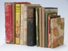 The Welsh Fairy Book illustrated by Willy Pogany A.&C.