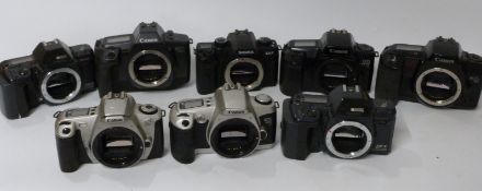 Eight Canon and other SLR camera bodies,
