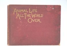 Animal Life All The World Over remarks on the trees and plants of various regions by H.,W.