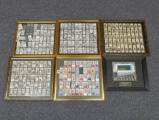 Framed cigarette cards including Churchman boxers,
