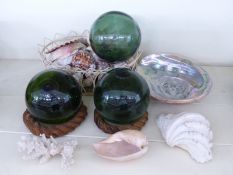 A quantity of shells, coral,