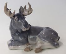 Copenhagen moose lying down,