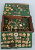 A collection of military buttons and cap badges including Gloucestershire Regiment,