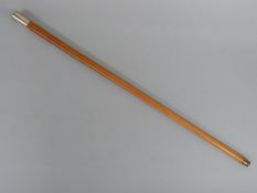 Royal Artillery military walking or swagger stick