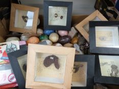 Hand polishing gemstone kits, an amethyst candle holder, agate slices, a beetle, agate gems, pyrite,