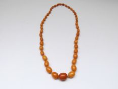 Baltic amber necklace made up of 43 graduated oval beads (50g)