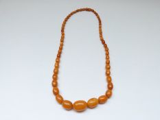 Baltic amber necklace made up of 53 graduated oval beads (44g)