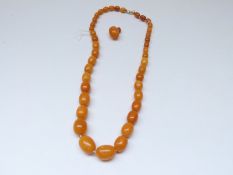 Baltic amber necklace made up of 41 graduated oval beads,