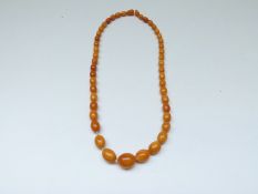 Baltic amber necklace made up of 45 graduated oval beads (24g)