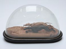 19th century carved wooden model of two greyhounds racing over rough ground,