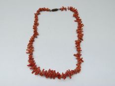 A coral necklace made up of irregular pieces