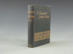 A Naturalist In North Celebes A Narrative of the Travels in Minahassa,