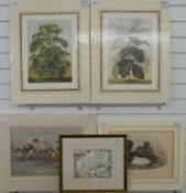 Spy print of horse racing, etching of two ducks,