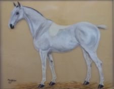 T B Whitely reverse painted on glass study of horse, signed and dated 1921 lower left,