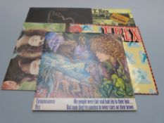 T.Rex / Tyrannosaurus Rex - T.