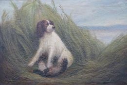19thC oil on canvas Springer Spaniel having retrieved a duck, indistinctly signed lower left,